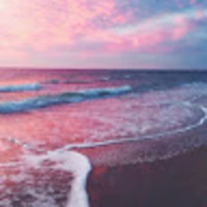 Meet your Posher, Alexia